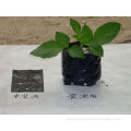 Popular best sale non woven grow bag ,variou different material grow bags,OEM welcome
